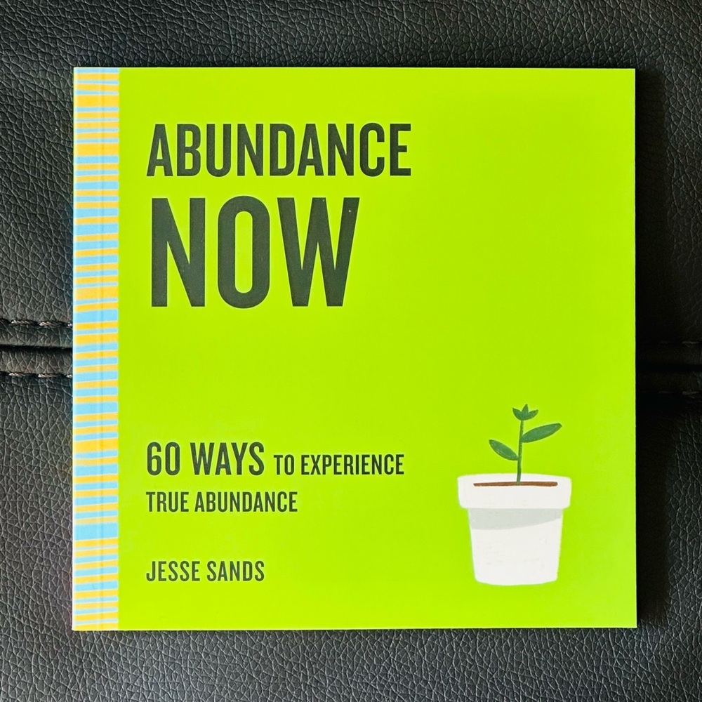 NEW Abundance Now Paperback Book